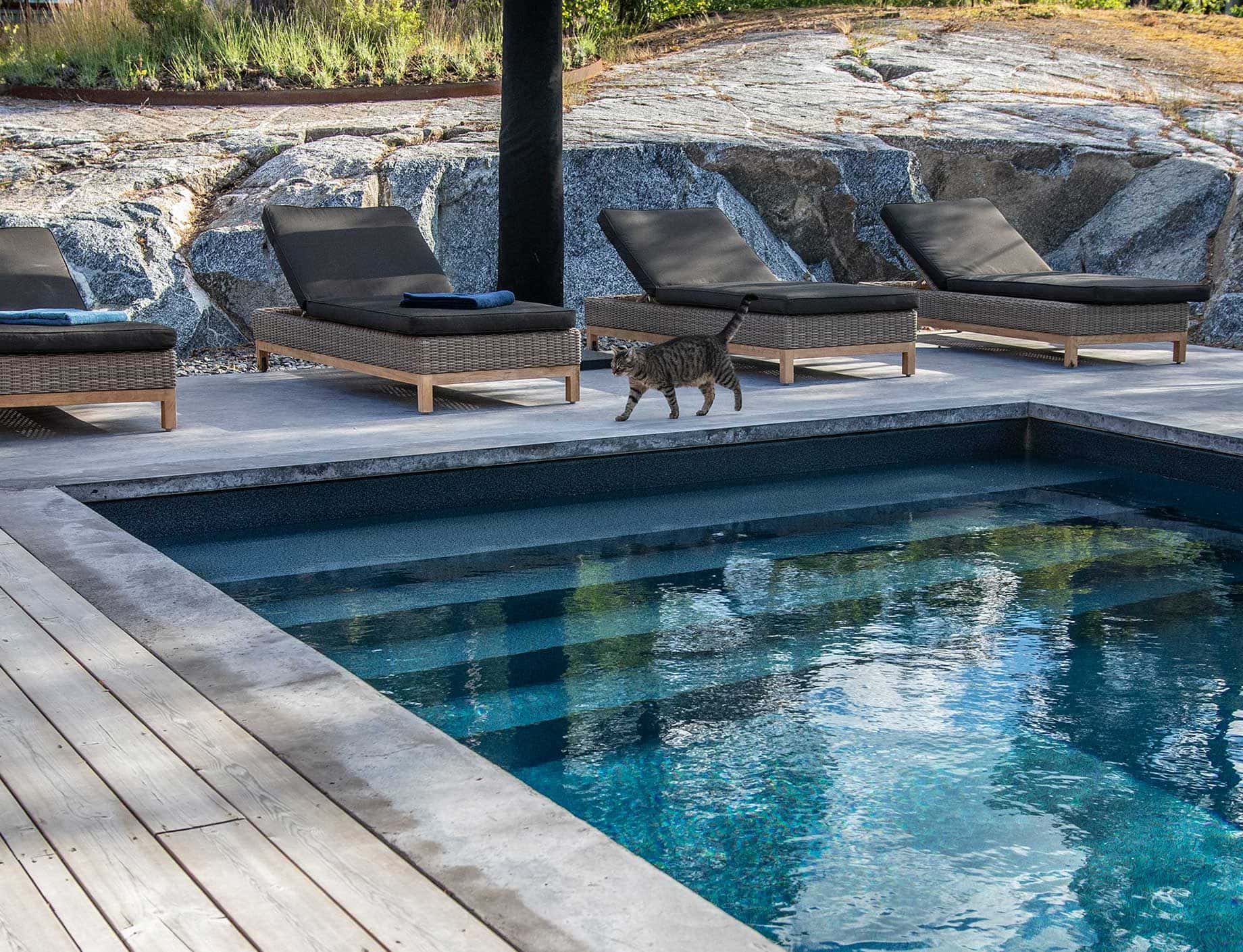 Flexipool, fyra solsängar och en katt, Pool Store